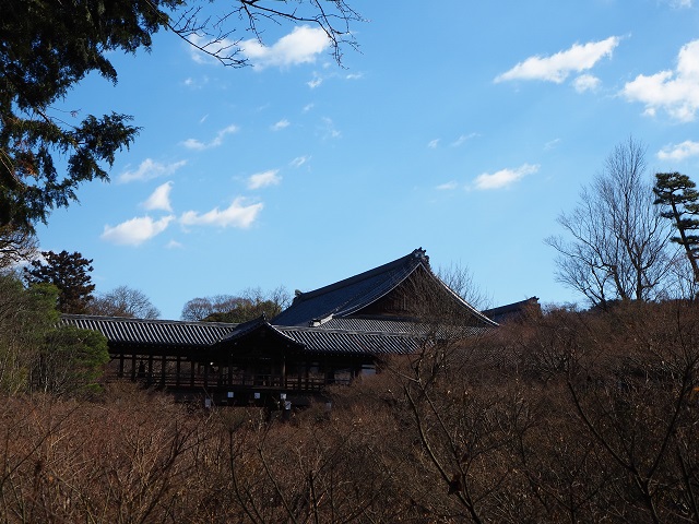 冬の東福寺.jpg