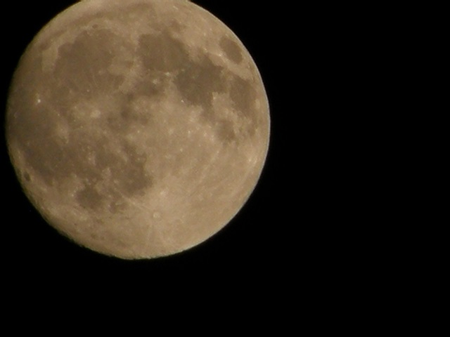 月-2.jpg