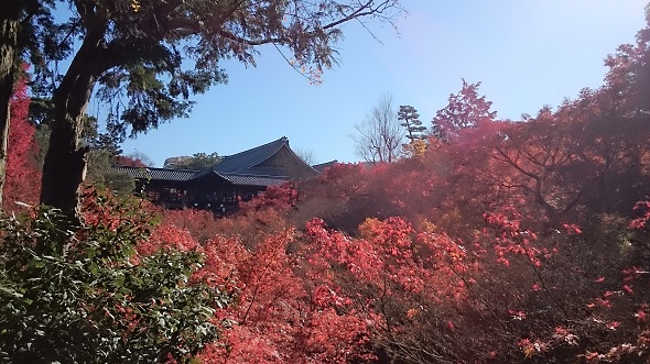 過去の東福寺.jpg
