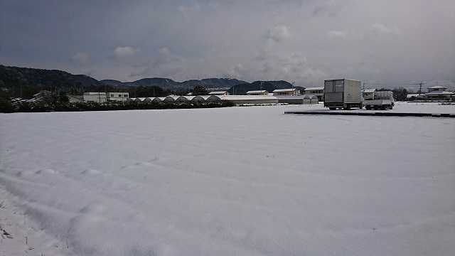 雪-2.JPG